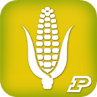 Corn Field Scout 图标