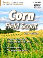 Corn Field Scout 海报