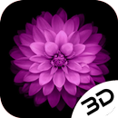 Purple Aster 3D Live Wallpaer: Chrysanthemum-APK