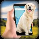 Dog On Screen Funny Prank APK