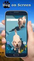 Dog On Screen 截图 2