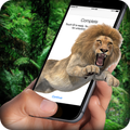 Lion On Screen