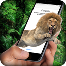 Lion On Screen aplikacja