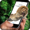 Lion On Screen APK