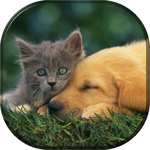 Pets & Animals Wallpapers FREE
