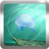 Random Jellyfish Wallpapers icône