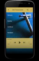 ESV Audio Bible for Free Ekran Görüntüsü 3