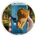 Lion On My Screen APK