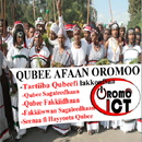 Qubee APK