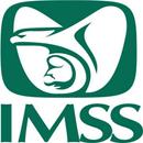 Que App IMSS APK