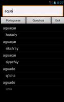 Quechua Portuguese Dictionary Affiche