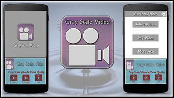 Gray Scale Video capture d'écran 1