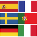 Quiz Logo Flags Of  World APK