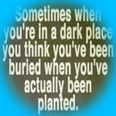 Inspirational Quotes APK