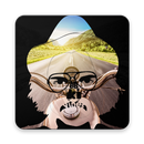 BB Ki Bike - BB Ki Vines Game APK
