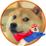 Doge fighter icono