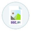 Icona DSC Auto Rename