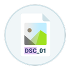 DSC Auto Rename Zeichen