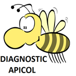 Diagnostic Apicol