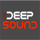 Radio Deep APK