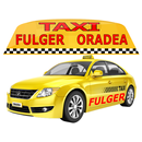 TAXI Fulger Oradea APK