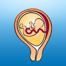 Peds Path Measurements APK