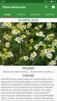 Plante Medicinale پوسٹر
