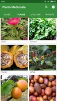 1 Schermata Plante Medicinale