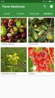 Plante Medicinale اسکرین شاٹ 3