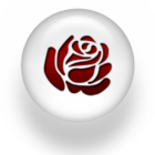 Trandafiri Romania icône