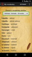 French Romanian Dictionary capture d'écran 2