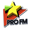 Pro FM Interactive