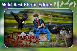 Wild Bird Photo Editor - Wild Animal Photo Editor poster