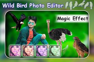 Wild Bird Photo Editor - Wild Animal Photo Editor screenshot 2