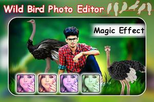 Wild Bird Photo Editor - Wild Animal Photo Editor syot layar 2