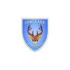 Stag Lane Junior School icon