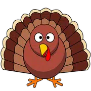 Turkey Torrent Video Player