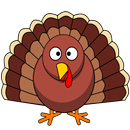 Turkey Torrent Video Player APK