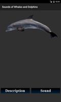 Learn Dolphin and Whale Sounds capture d'écran 1