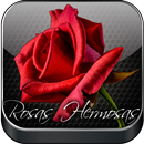 APK Rosas Rojas Hermosas y Petalos