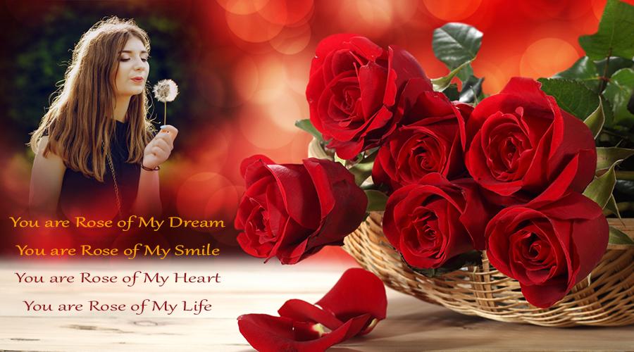 Rose Photo Frame For Android Apk Download - latin rose roblox