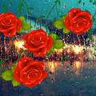 Rosas Amor Gotas ícone