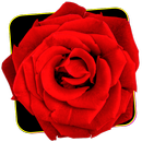 Rosas Especiales APK