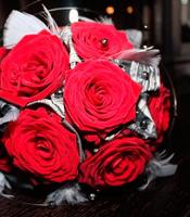 Special Roses poster