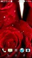 Rose Live Video Wallpaper স্ক্রিনশট 3