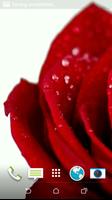 Rose Live Video Wallpaper স্ক্রিনশট 2