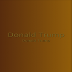 Donald Trump icône
