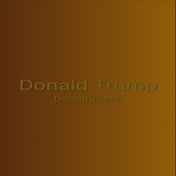 Donald Trump icône
