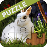 Rabbit Jigsaw puzzles