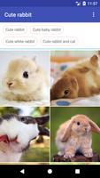 Cute Rabbit Wallpaper Affiche